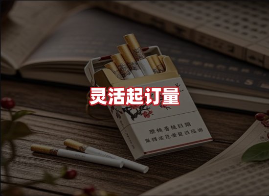 专业团队